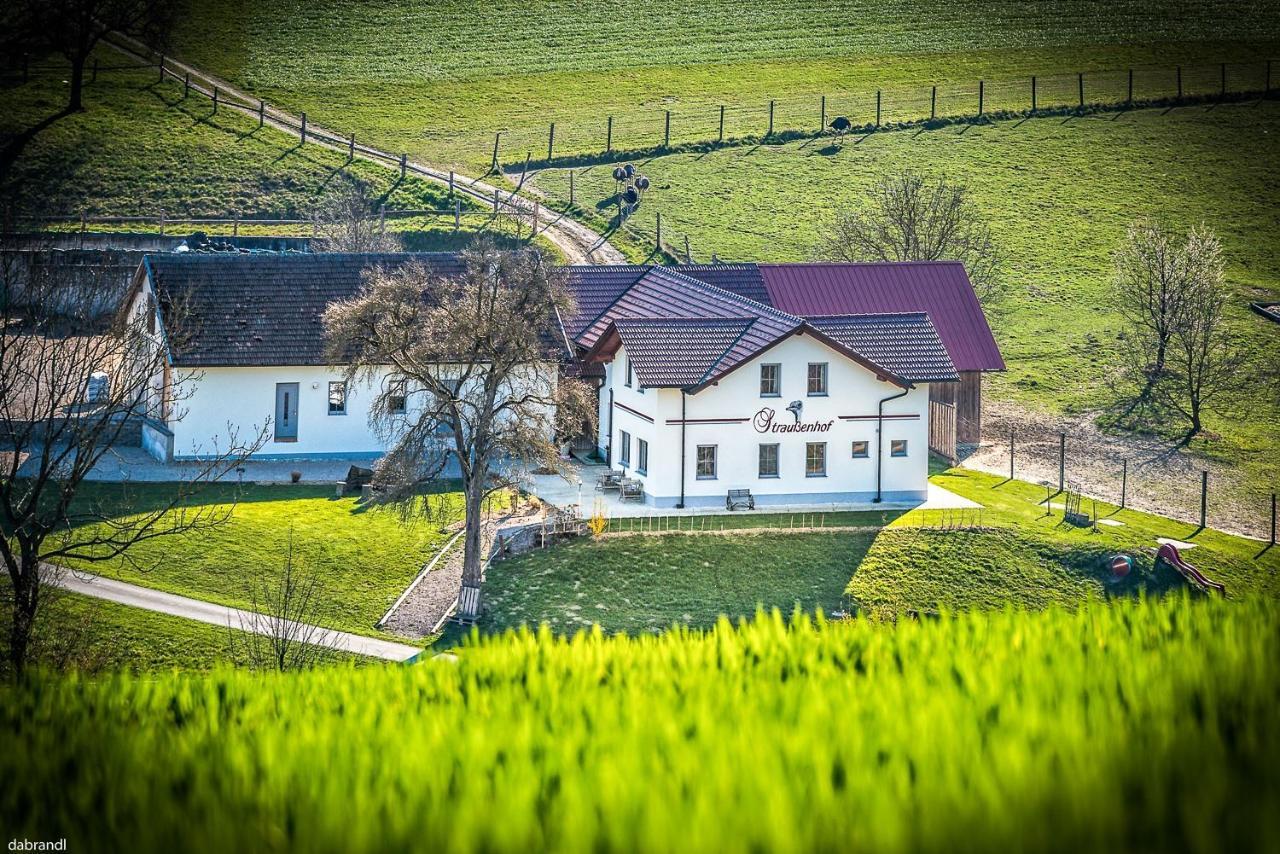 Straussenhof Halmer Oberndorf an der Melk Екстериор снимка